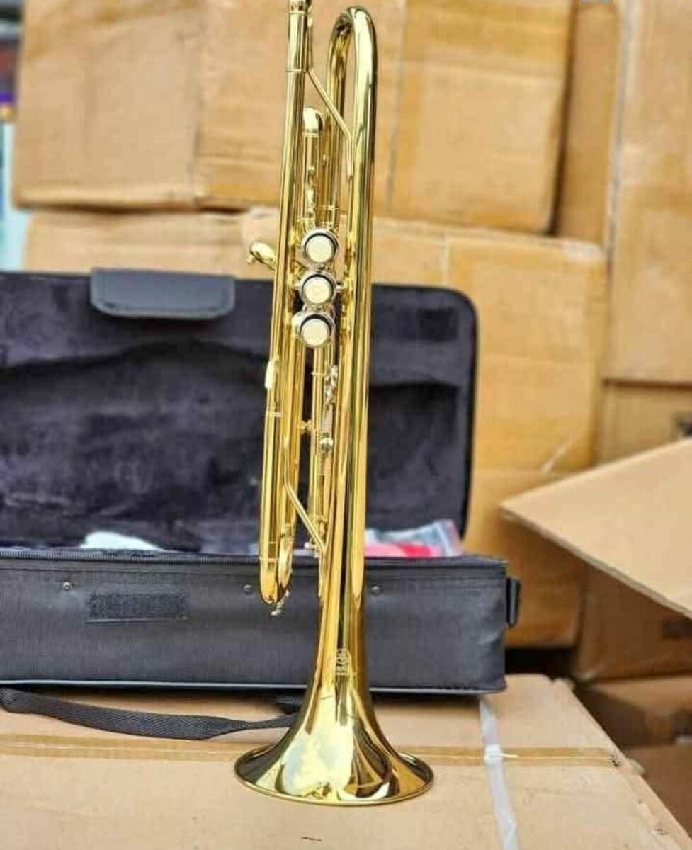 Professional Brass Trumpet