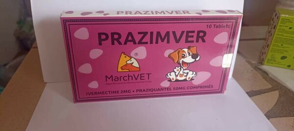 Comprimés antiparasitaires