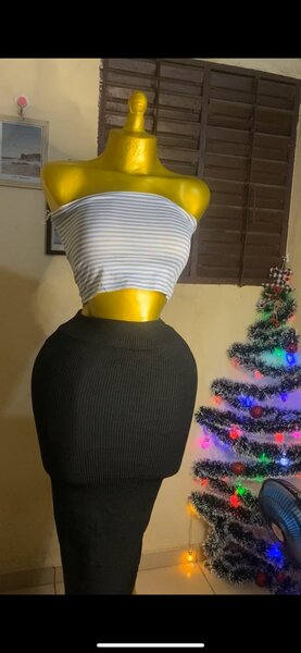 Jupe  et top élégant