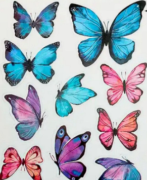 Assorted Butterflies 