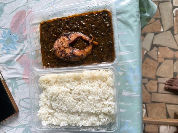 Riz Sauce et poisson