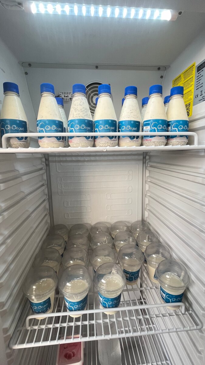 Délicieux yaourt et deguê