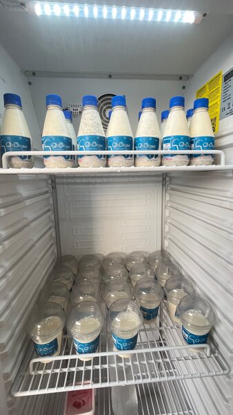 Délicieux yaourt et deguê