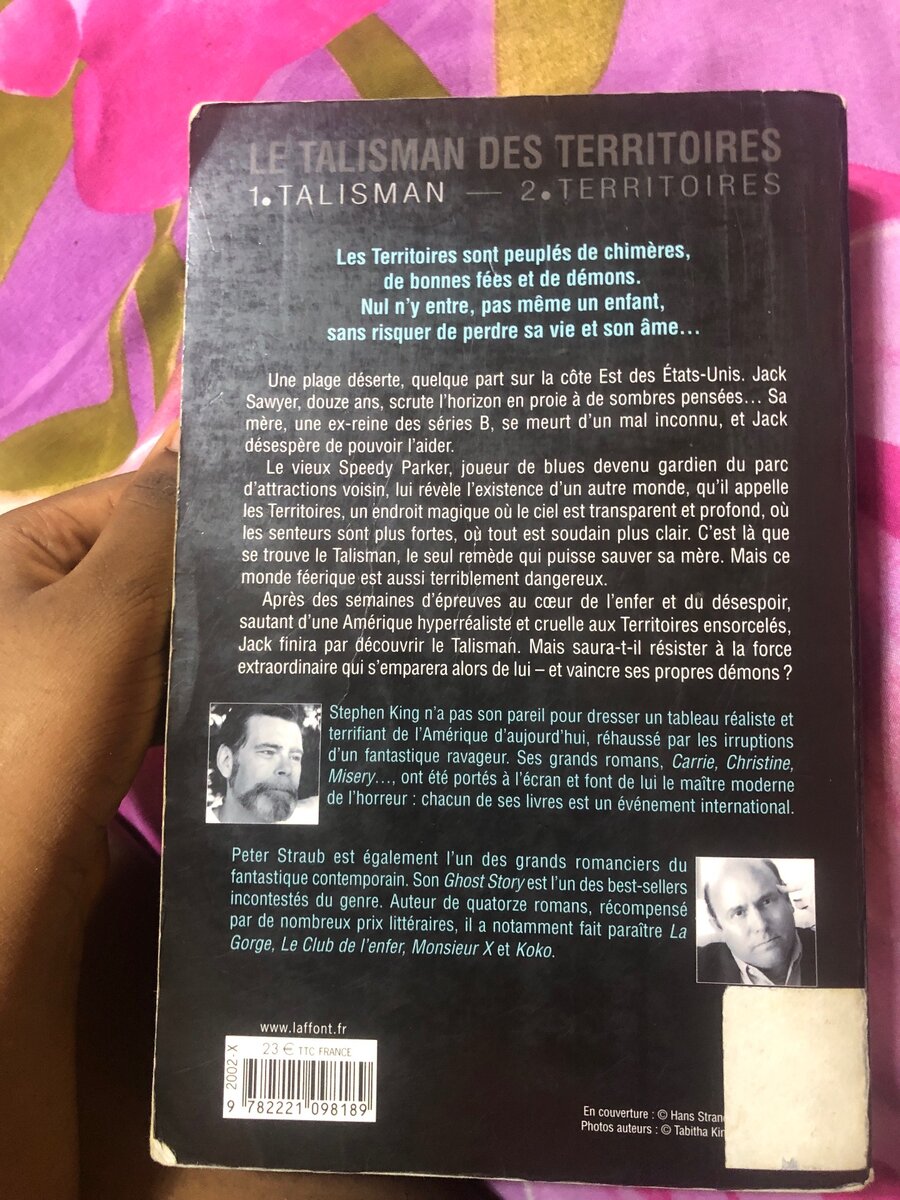 Roman de peter straub