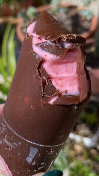 Crème glacée maison