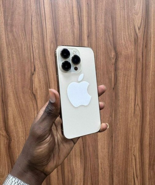 iPhone 14 Pro Max 256 Go