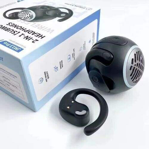 Écouteurs Bluetooth 2-en-1