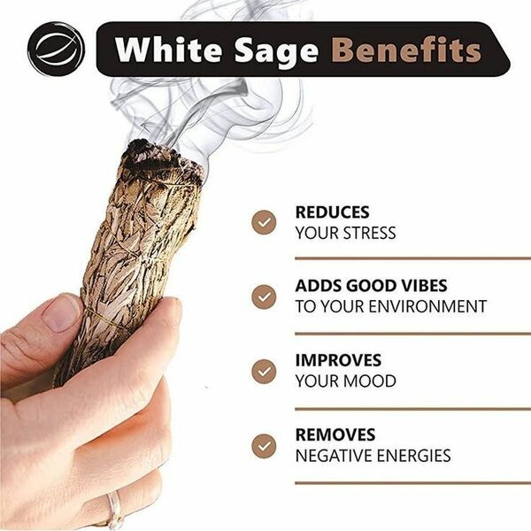 White sage Herb