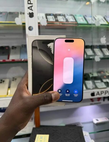 iPhone Pro Max Argent