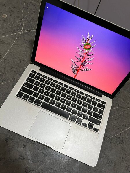 Apple MacBook Pro 2013