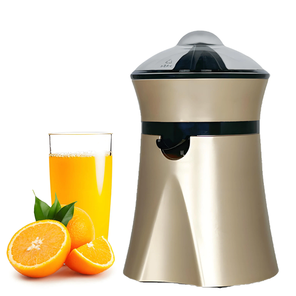 Presse-Agrumes Électrique Puissant