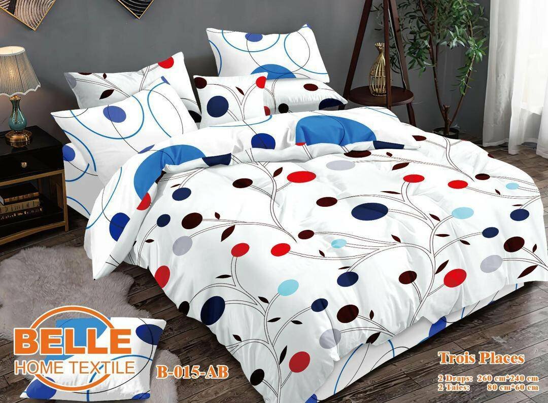 2 drap de 3 places + deux taies d'oreillers