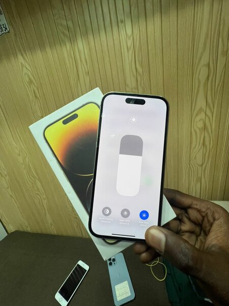 iPhone 14 Pro Max 256 Go