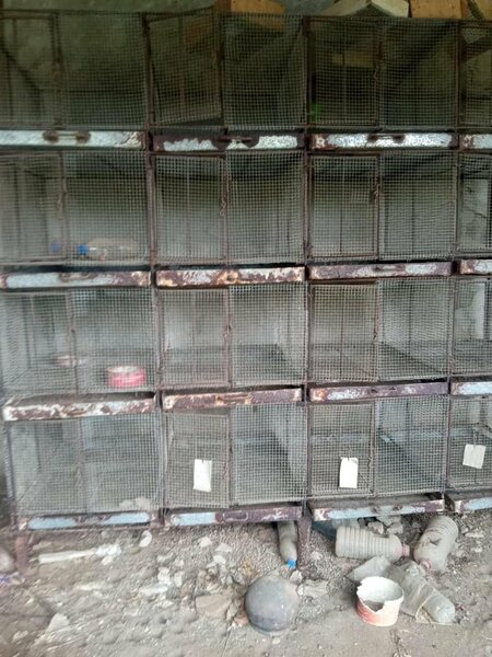 Élevage de cages métalliques