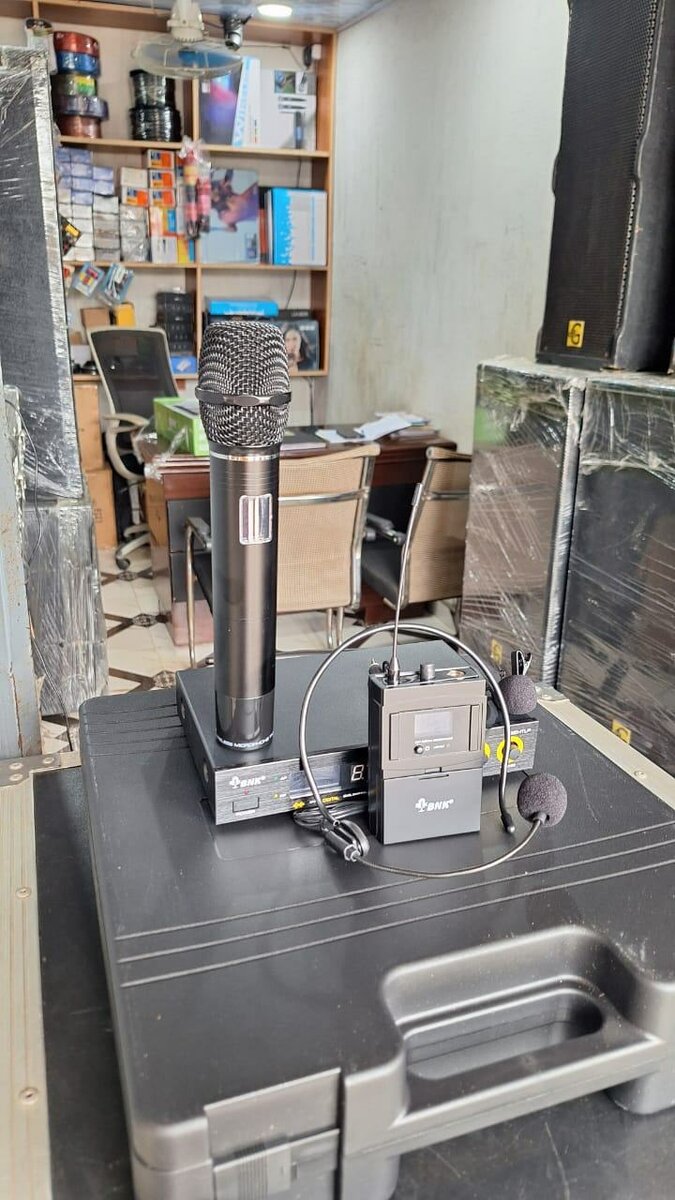 Microphone sans fil professionnel