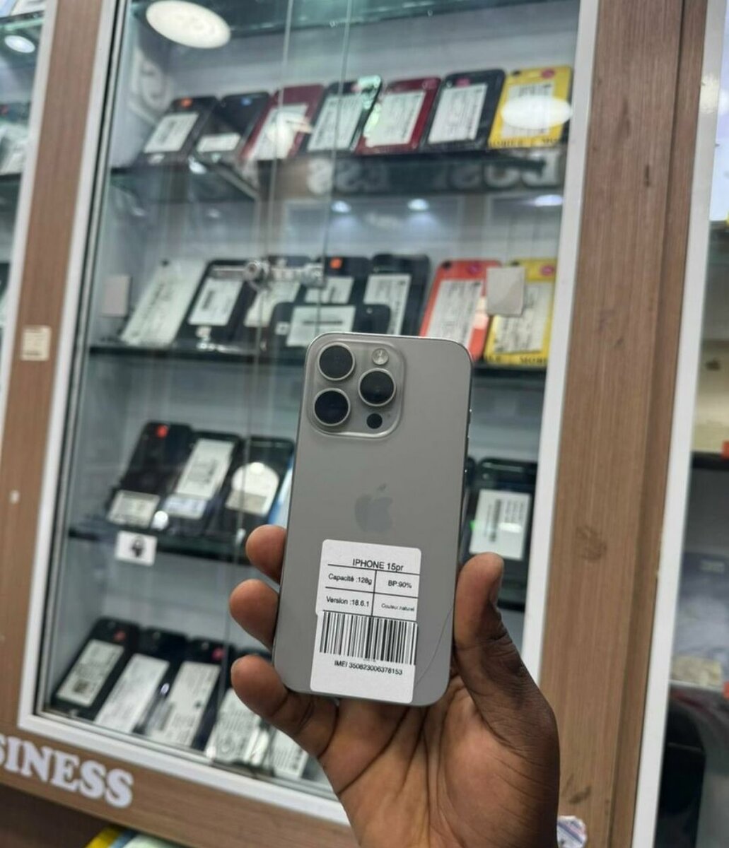 iPhone 13 Pro Max Gris