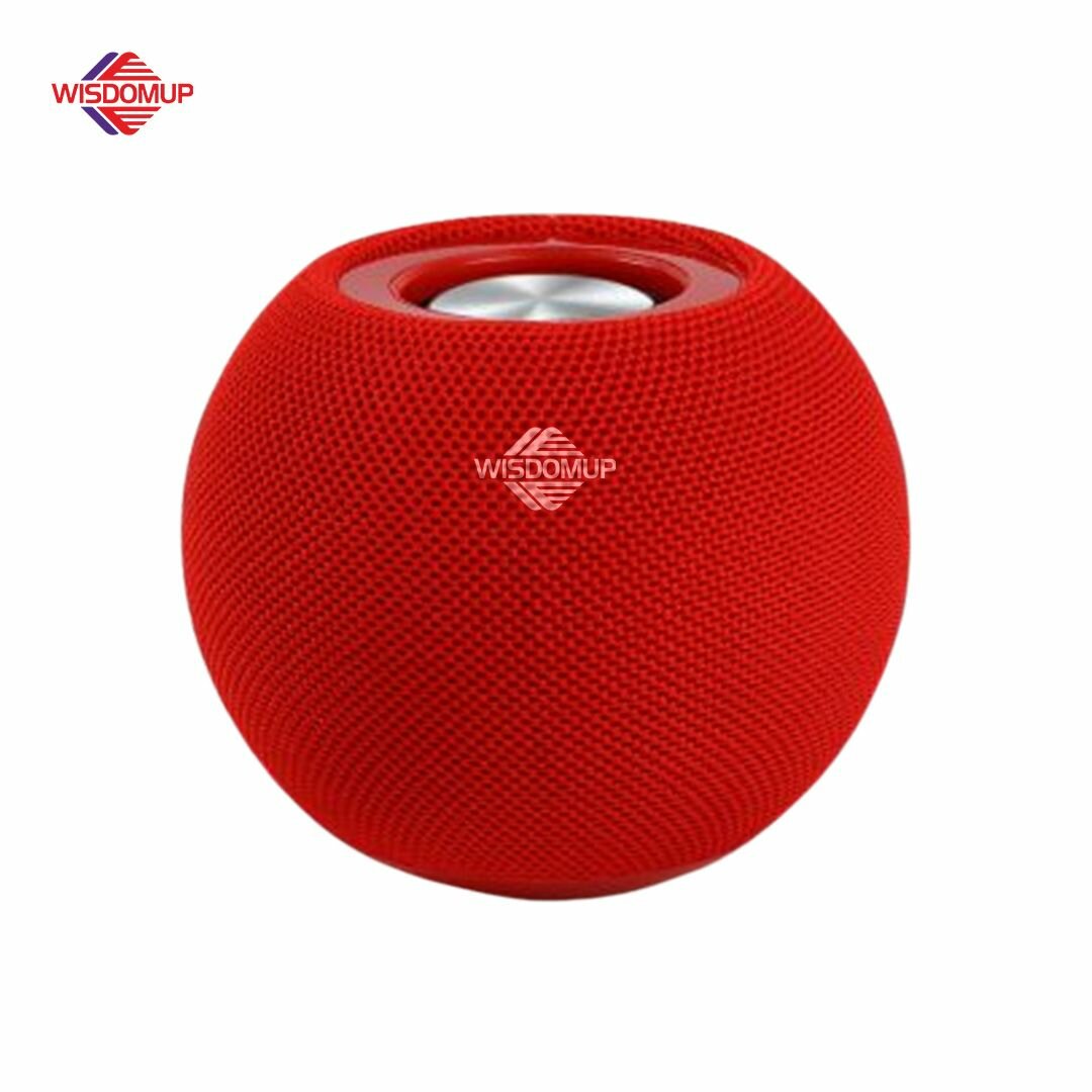 Wisdom portable speaker
