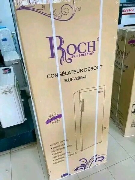 Congélateur Debout Roch