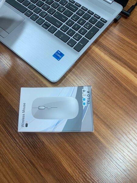 Souris Sans Fil Ergonomique