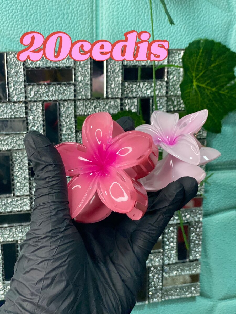 Hawaii hair clips