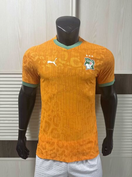 Maillot de football Équipe nationale