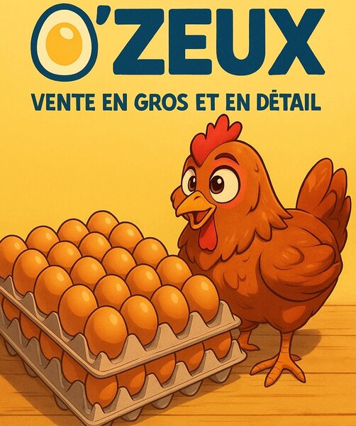 Œufs Frais en Gros et en détai