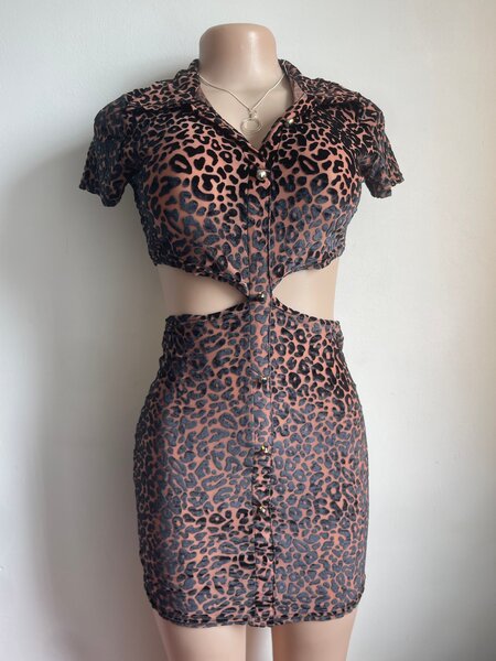 Ensemble Leopardie