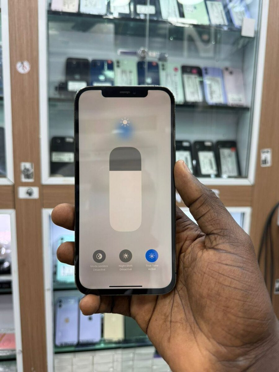 12promax 256g écran changer