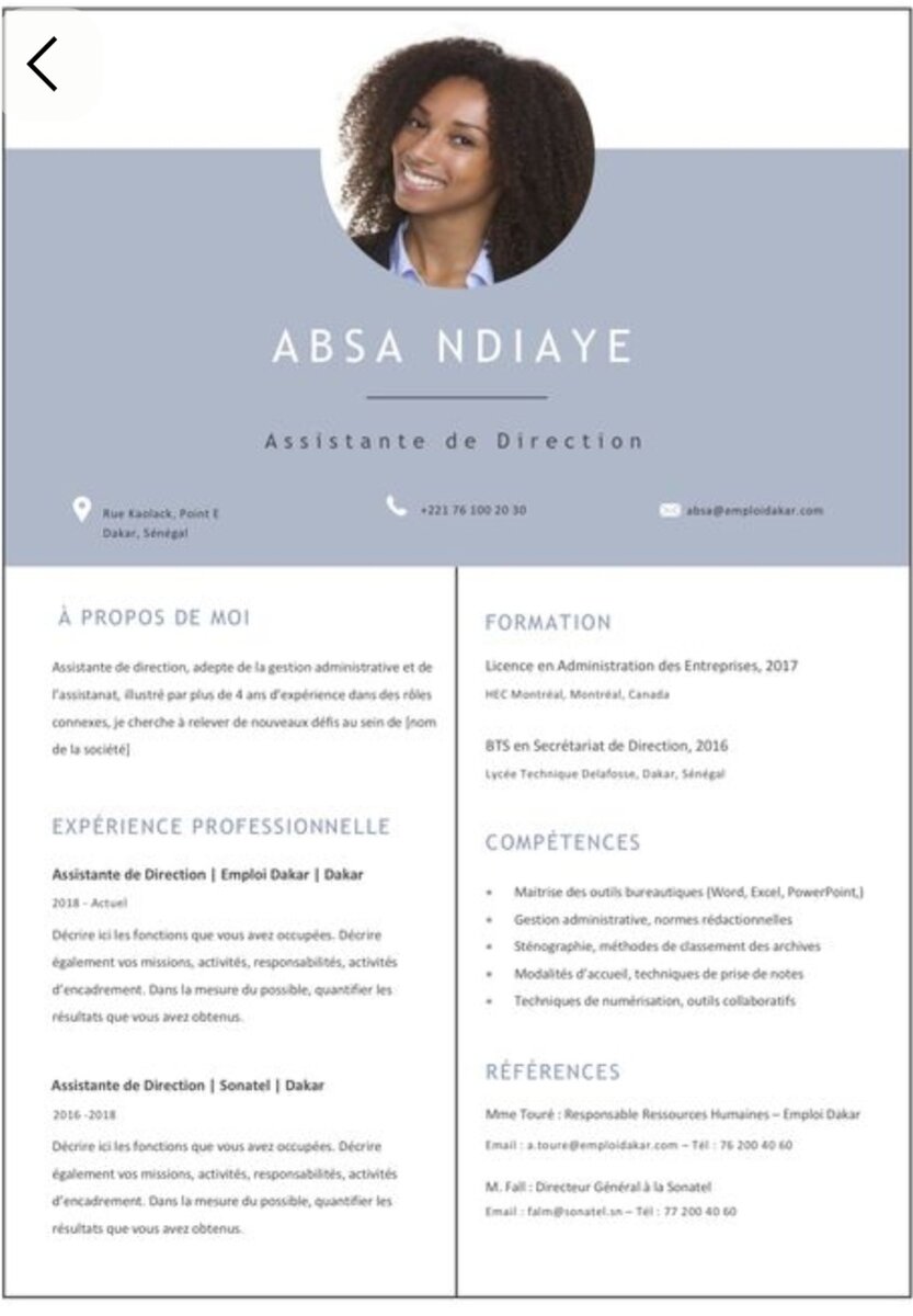Templates de CV Professionnels