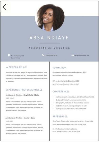 Templates de CV Professionnels