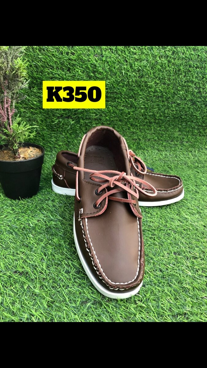 Sebago shoes