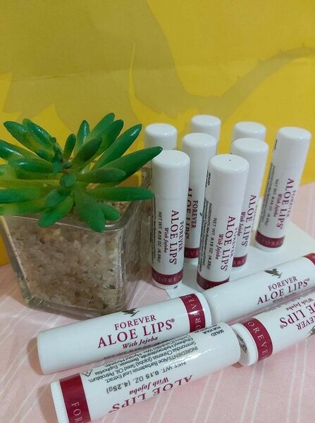 Baume à lèvres Aloe forever