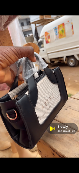 Ensemble de sacs élégants