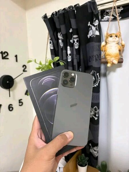 Smartphone haut de gamme 256 Go