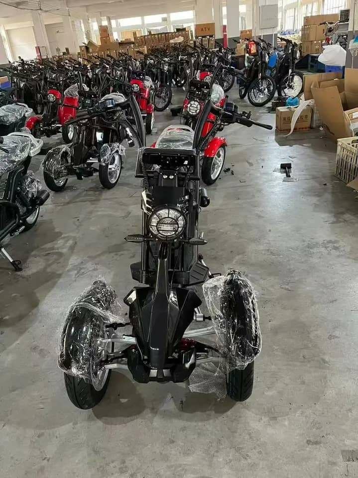 Moto électrique puisant