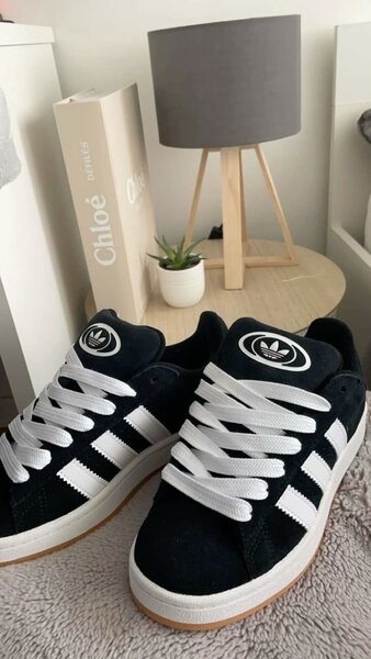 Adidas campus original