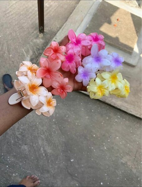 Pinces à cheveux fleuries colorées