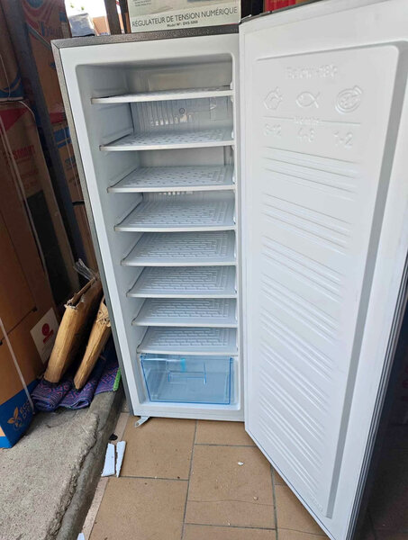 Congélateur Vertical Moderne