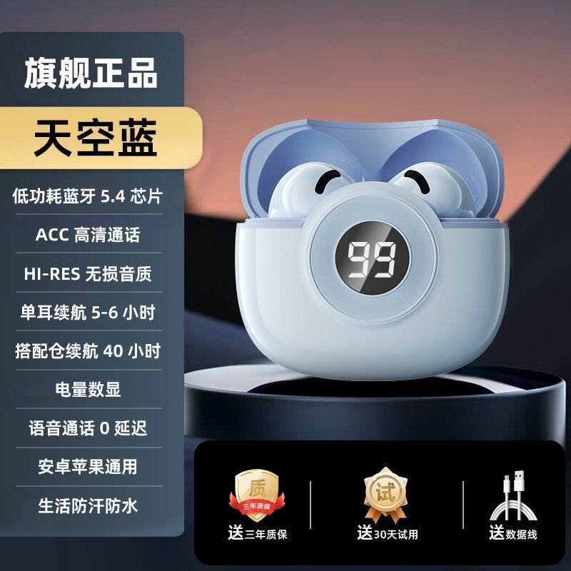 Écouteurs Bluetooth Hi-Res