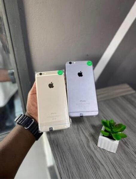 iPhone 6 Plus