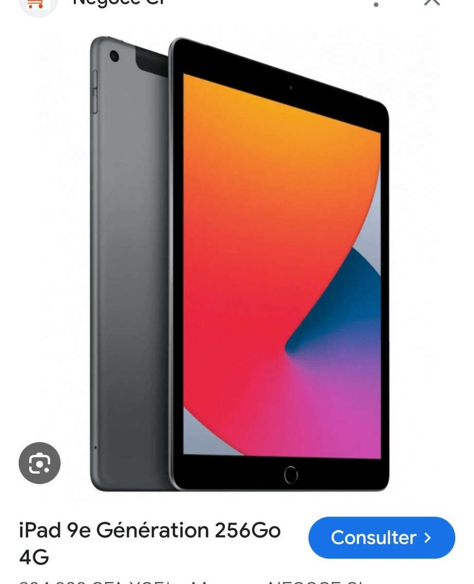 iPad 9e Génération 256Go Wi-Fi