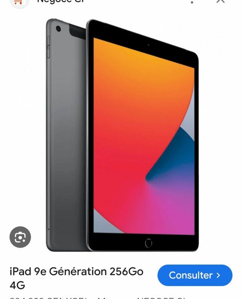 iPad 9e Génération 256Go Wi-Fi