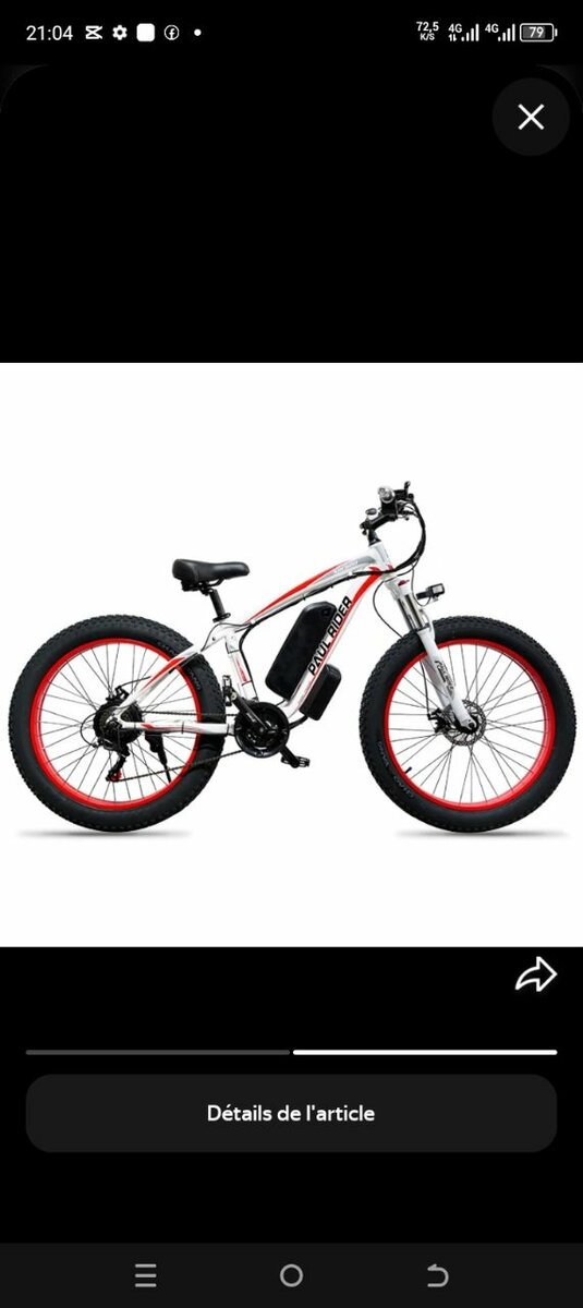 Vélo Électrique Fat Bike Tout Terrain