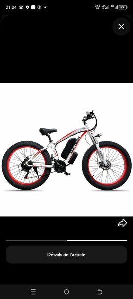 Vélo Électrique Fat Bike Tout Terrain