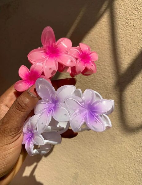Pinces à cheveux fleuries colorées