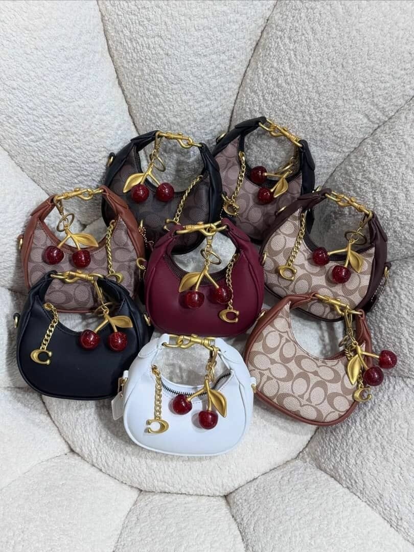 Mini sacs à main élégants