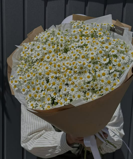 Кустовые ромашки