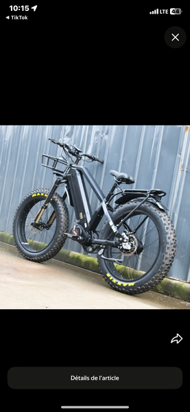 Vélo Électrique Tout-Terrain