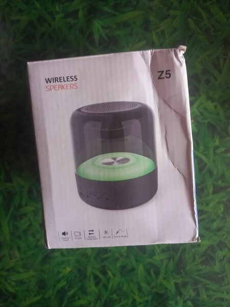Wireless Speaker System