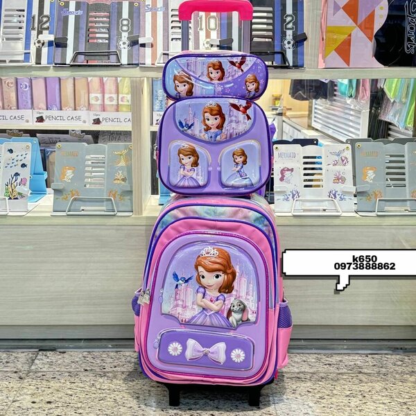 Character trolley bags